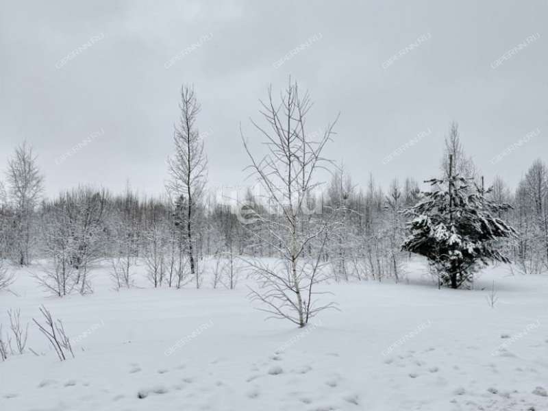 земельный участок 1 500 соток село Безводное